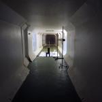 3c <br />Pneuma 2      2010<br />Ascalon Study 14<br />280 x 234cm<br />Edition of three