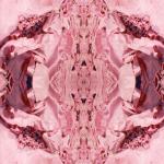 Weinie Collapse  2009<br />Pigment print on aluminium<br />95 x 95cm