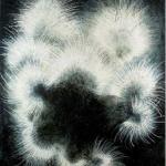 Black Sun<br />2005-08<br />Oil On Canvas<br />213 x 171cm