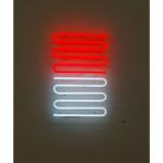 Snow White with argon gas  <br />Flurone red with neon gas         2009<br />50 x 30 cm 
