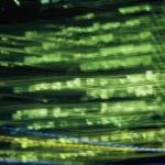 After dark #3  2004<br />Glicee print<br />160 x 100cm