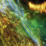 After dark #6 2004<br />Glicee print<br />100 x 160cm