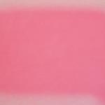 Pink puff # 4<br />2006<br />    oil on canvas<br />    150 x 216 cm
