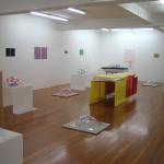 Installation view - Fell Off, 2008