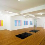 The Painting and Its Double (Despair, yellow pink combo #18) 2004, Enamel on canvas, 2 units, 1220 x 920mm each.<br /><br />The Painting and Its Double (Despair, blue pink combo #30) 2003, Enamel on canvas, 2 units, 1220 x 920mm each.<br /><br />Beach Boy (Black Reflex x 2) 2004, Black cast acrylic, 1220 x 920 x 15mm, 2 units <br /><br />14. Beach Boy (90% flawless black reflex x 2) 2004, Black cast acrylic, 1220 x 920 x 25cm