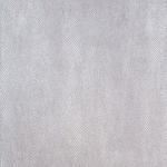 Consonance (Diptych)<br />2006<br />Acrylic, found pigment, oil on Belgian linen<br />182 x 274cm